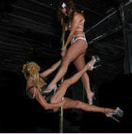 PoleDanzer spinning stripper pole
