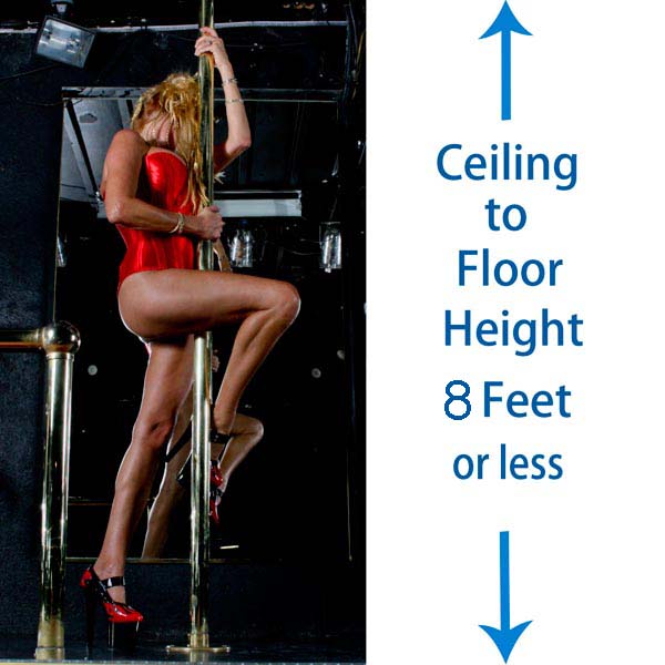 permanent stripper pole by pole danzer